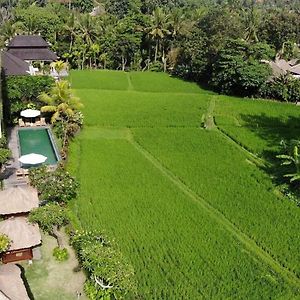 Byasa Ubud